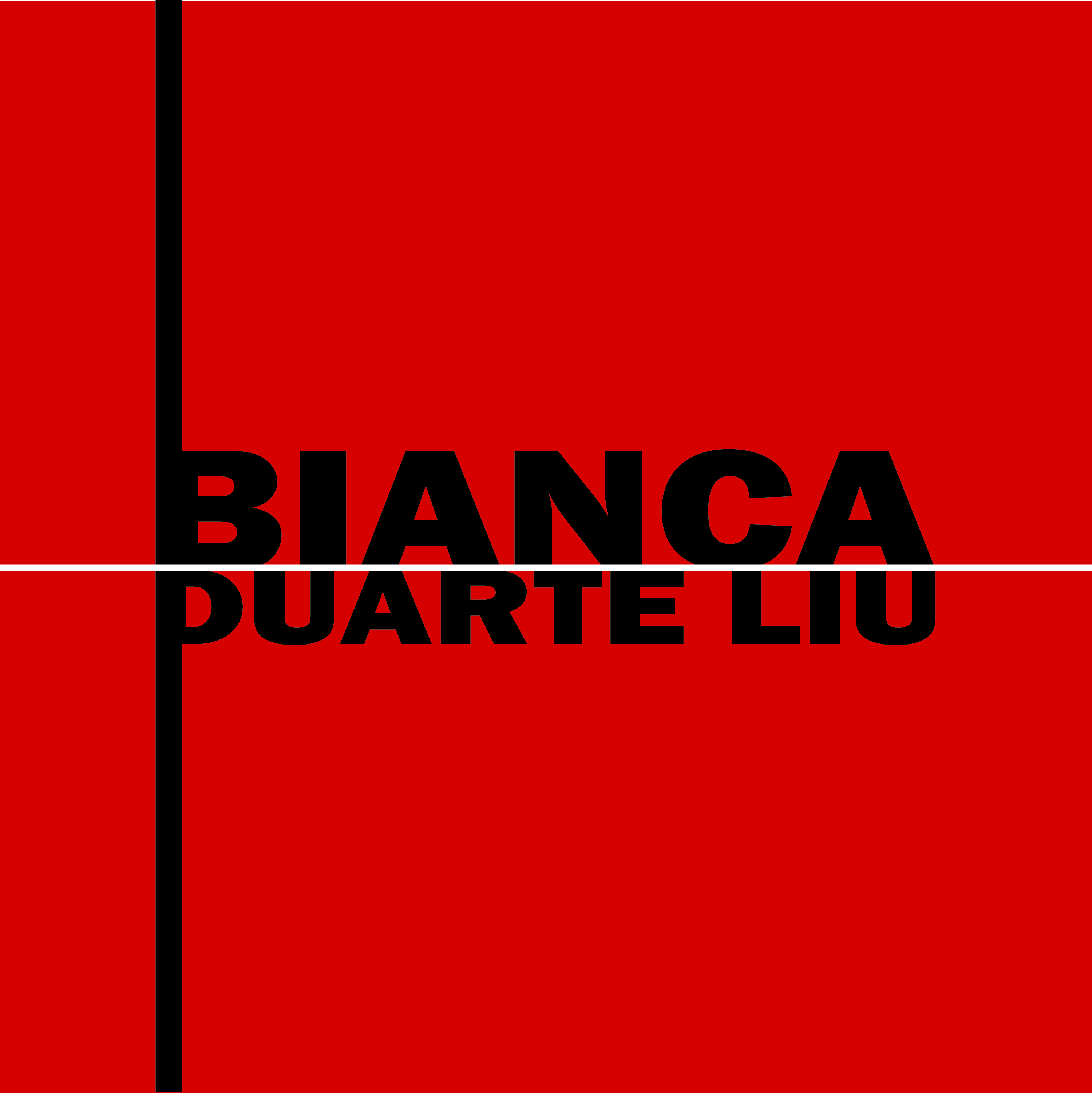 Bianca Duarte Liu